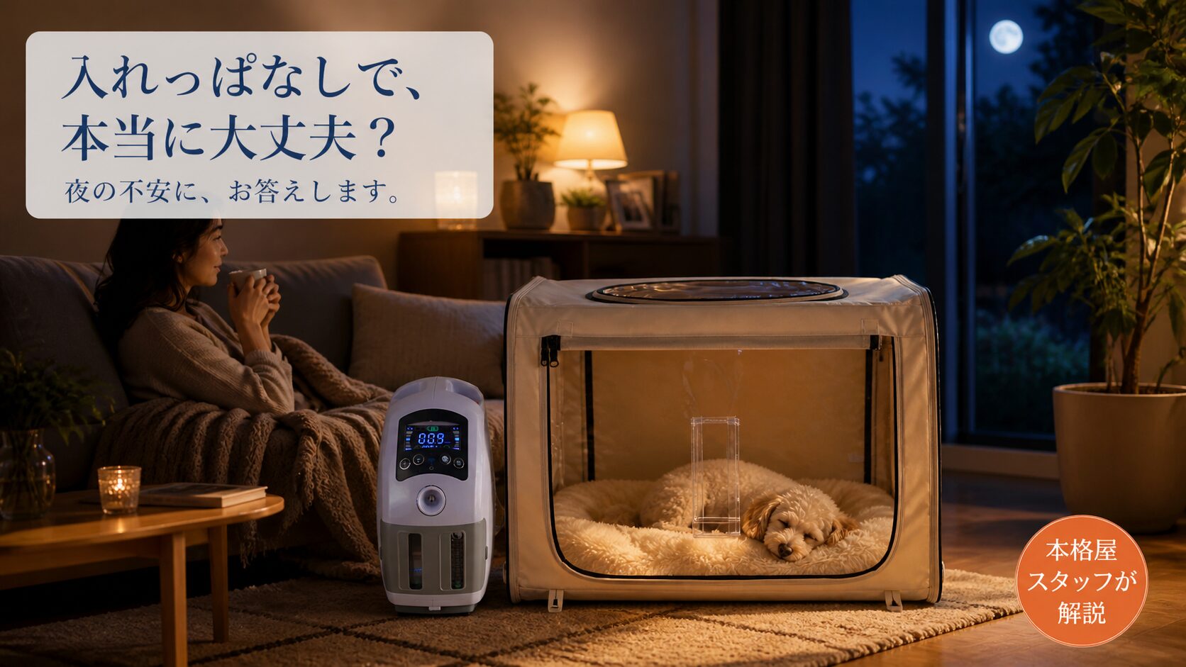 夜の酸素室で安心して眠る犬｜入れっぱなしで大丈夫？