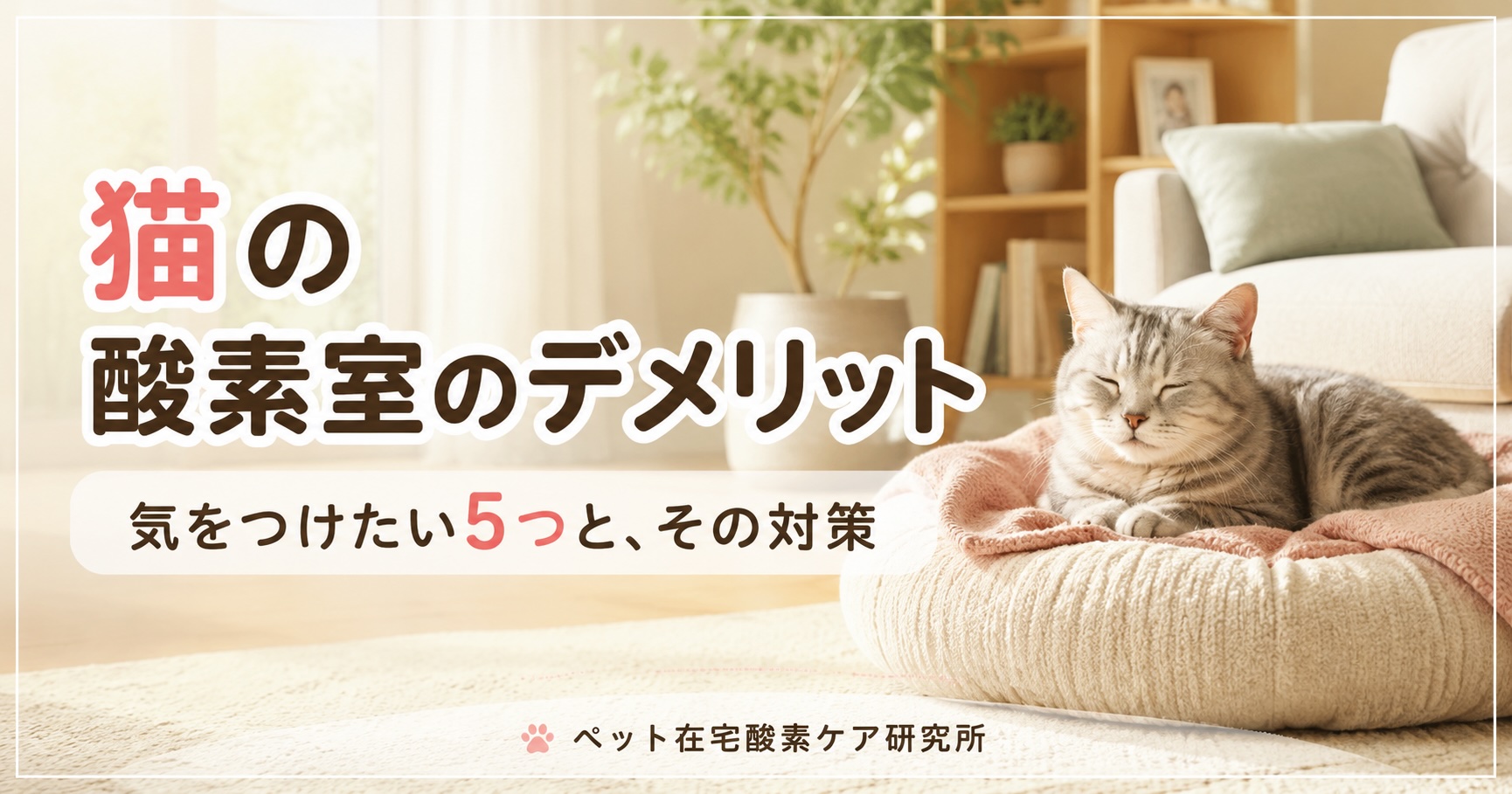猫の酸素室のデメリット シニア猫がリビングでくつろぐ