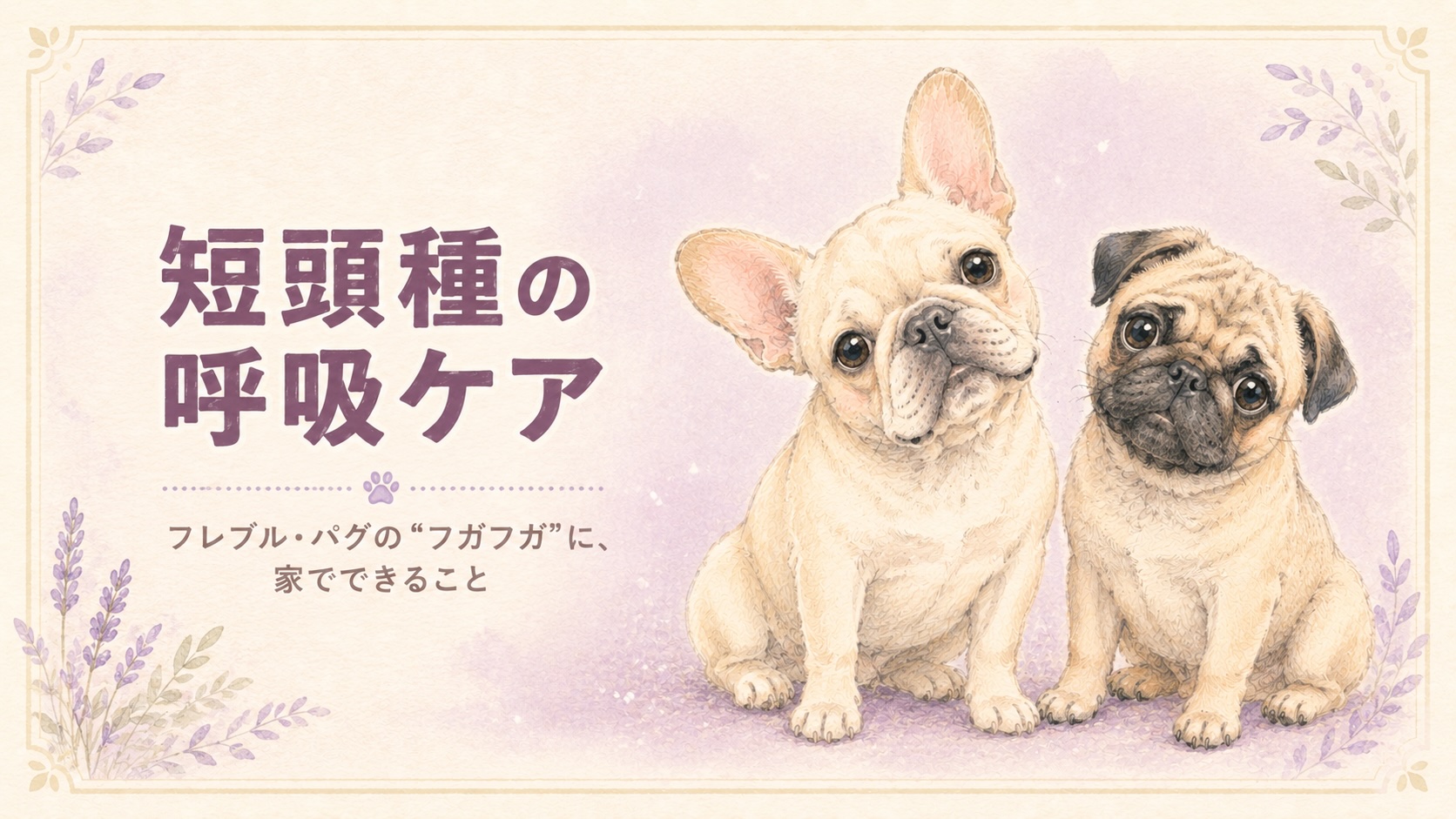 短頭種（フレンチブルドッグ・パグ）の呼吸ケア｜記事アイキャッチ