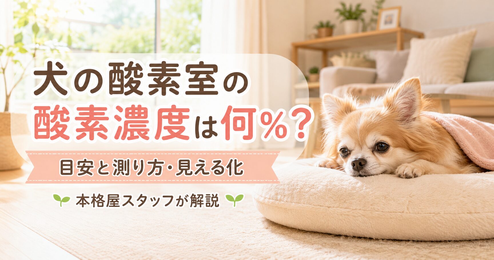 犬の酸素室の酸素濃度は何パーセント リビングでくつろぐシニア犬