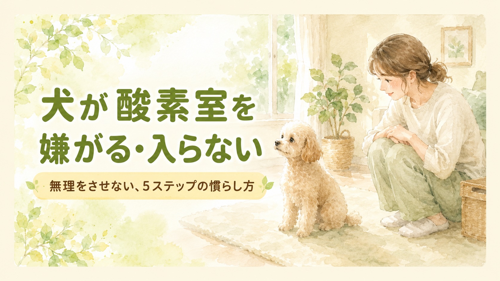 犬が酸素室を嫌がる・入らない｜無理をさせない5ステップの慣らし方