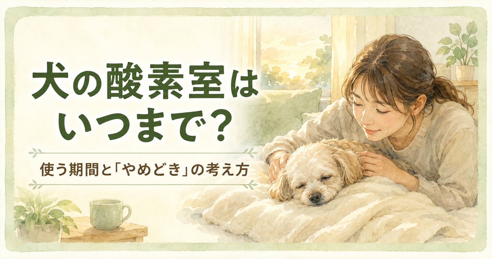 犬の酸素室はいつまで？使う期間とやめどきの考え方