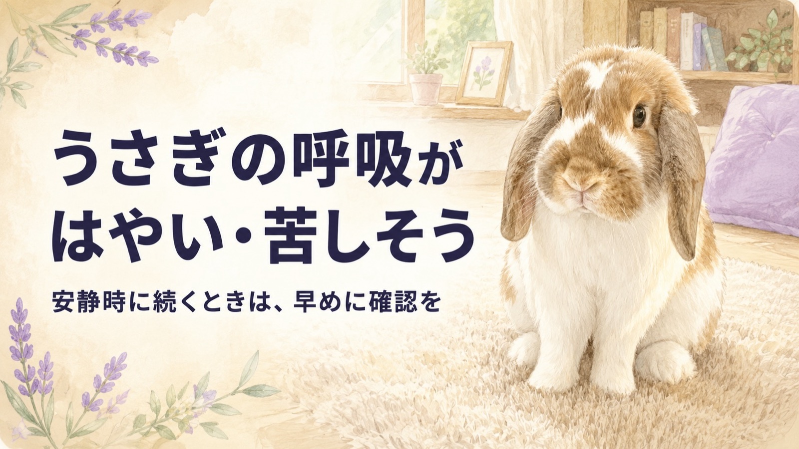 うさぎの呼吸がはやい・苦しそう｜安静時に続くときは早めに確認を