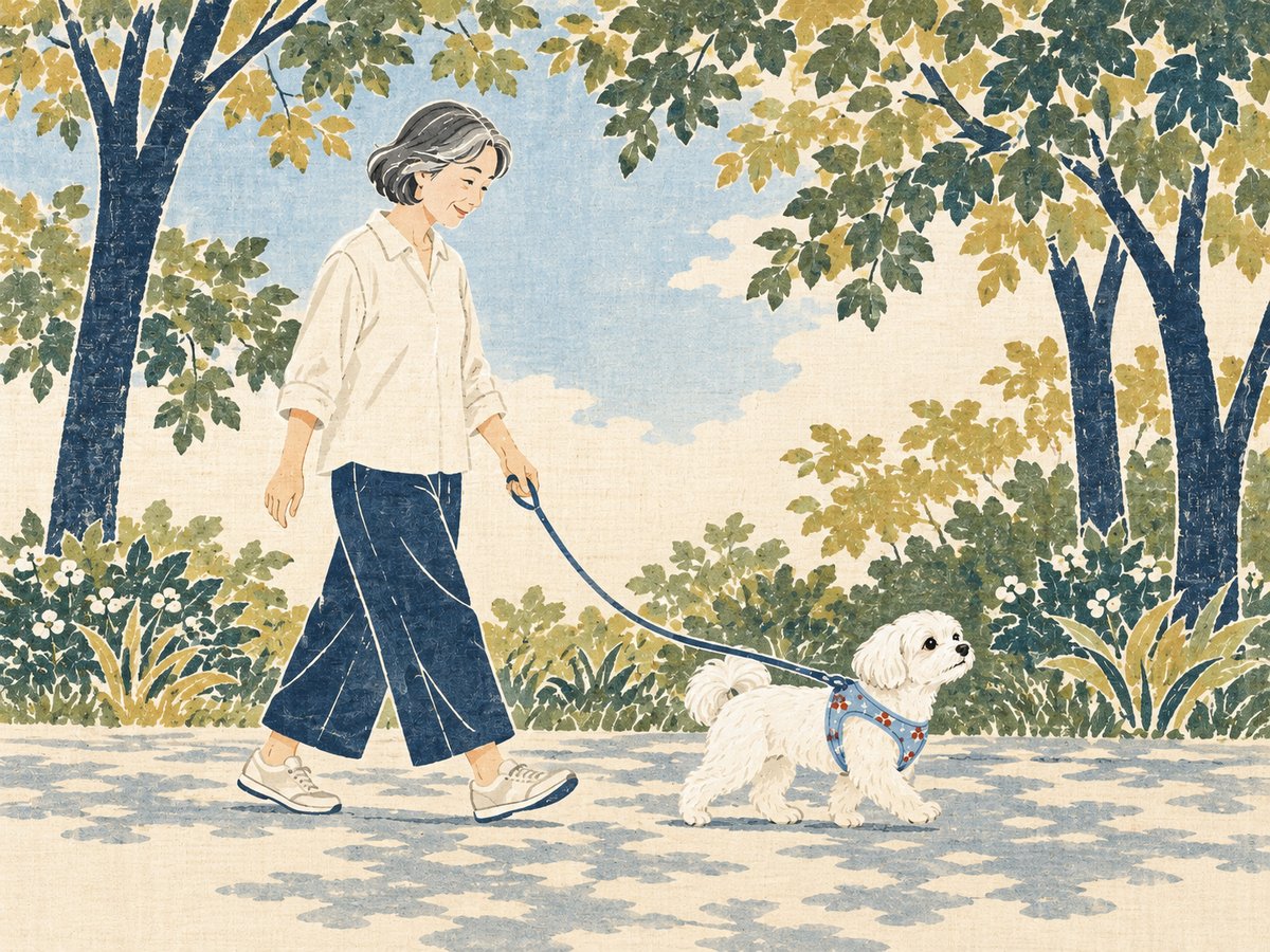 胸で支えるハーネスを付けて、朝の木陰の道を穏やかに散歩するマルチーズと飼い主（犬の気管虚脱・暮らしの工夫）