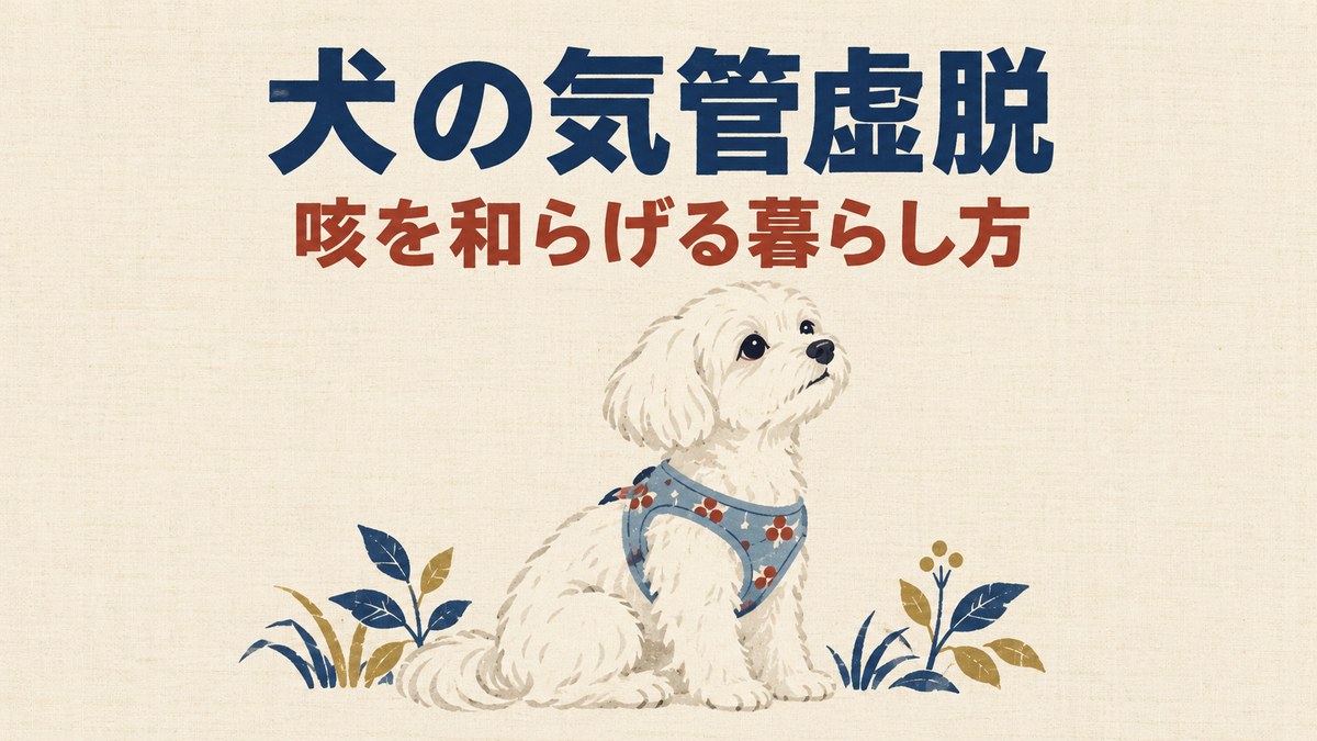 犬の気管虚脱｜咳を和らげる暮らし方（胸で支えるハーネスを付けておすわりするマルチーズの型染めの絵）
